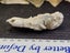Fossil Mud Lobster - Australian Specimen Carousel 4