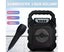 Portable Bluetooth Karaoke Machine SK-668: Great for Outdoor Gathering Carousel 5
