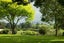 gallery view thumbnail