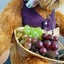 NZ collectable Robin Rive Bear - Monsieur Savignon Carousel 3