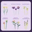 891pcs BuildMoc Birds of paradise flower Bouquet: Strelitzia lego compatible Carousel 4