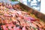 Peter Timbs Meats Carousel 2