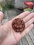 Red jasper pendant Carousel 1