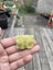 Lemon jade pendant Carousel 1
