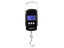 Hanging Scales Carousel 2