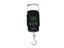 Hanging Scales Carousel 4