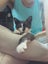 Brave Paws Cat Rescue - Kitten - Emmy Carousel 4