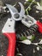 Kamaki Pruning Shear 888 Carousel 4