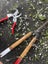 Kamaki Pruning Shear 888 Carousel 5