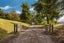 gallery view thumbnail