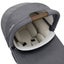 NUNA Cari Next - Granite with Tan Handle Carousel 3