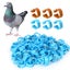 Loading Image 1 of 7