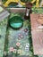 Jumanji Board Game Carousel 4