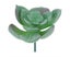 Artificial Succulent Plant Unpotted Fake Plastic Succulent for Home Of Carousel 1