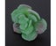 Artificial Succulent Plant Unpotted Fake Plastic Succulent for Home Of Carousel 3
