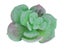 Artificial Succulent Plant Unpotted Fake Plastic Succulent for Home Of Carousel 6