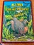 Kiwi of the Great Forest by Dave Gunson Carousel 1