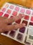 Scentsy Consultant Wax Sample Pouch Carousel 4