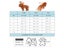 Cute Pets Clothes For Yorkshire Terrier Dogs Little Puppies Small Animals Carousel 7