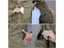 M65 UK US Army Winter Autumn Waterproof Men's Coat Carousel 8