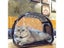 Cat Carrier Dog Carrier Carousel 3