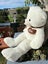 100cms Giant Huge Big Teddy Bears sofy toy- For Her---hand stuffed in NZ Carousel 3