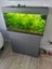 150l Jewel Tank Carousel 1