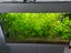 150l Jewel Tank Carousel 5