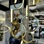 Delessi Bolla 10LT Ring Pendant Light - Tri-Colour Carousel 10