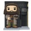 Harry Potter Rubeus Hagrid with Leaky Cauldron #141 Funko Pop Vinyl Figure Carousel 3