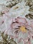 Vintage Roses & Daisies on Shell Pink Fabric Carousel 6