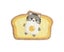 Loading Image 1 of 5