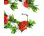 5Pcs Artificial Vine Rose Flower Silk Blossom Garland Home Decoration Carousel 7