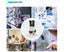 40X Magnification Stereo Light Microscope Compound Binocular Microscope Carousel 4