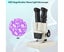 40X Magnification Stereo Light Microscope Compound Binocular Microscope Carousel 5