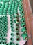Aquatherm Green Plumbing Fittings Bulk Lot Carousel 4