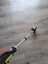 Measuring Wheel Carousel 2