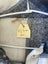 Ivy Bomber Jacket Carousel 3