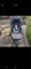 Baby jogger stroller Carousel 1