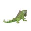 Loading Image 1 of 1