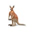 Loading Image 1 of 4