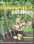 "Homegrown" Mags *Choose 2* Herbs, Toms, Berries, Veges, Recipes, Plot Pantry Carousel 7