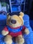 Buzzy Bee bear Carousel 1