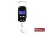 Digital Scales Carousel 2