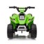 Kids Electric Ride On ATV Quad Bike Carousel 9