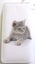 Kitten purse Carousel 2