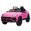 Kids Electric RC Car Ride On Toy Parental Remote Control 12V Carousel 9