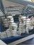 Purebred Ragdoll Kittens Carousel 4