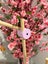 Baby Mobile Hanger – Sturdy and Customizable for Your Cot - Pink Carousel 3