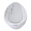 Bubble: Baby Bath with Newborn Support Insert - White Carousel 1